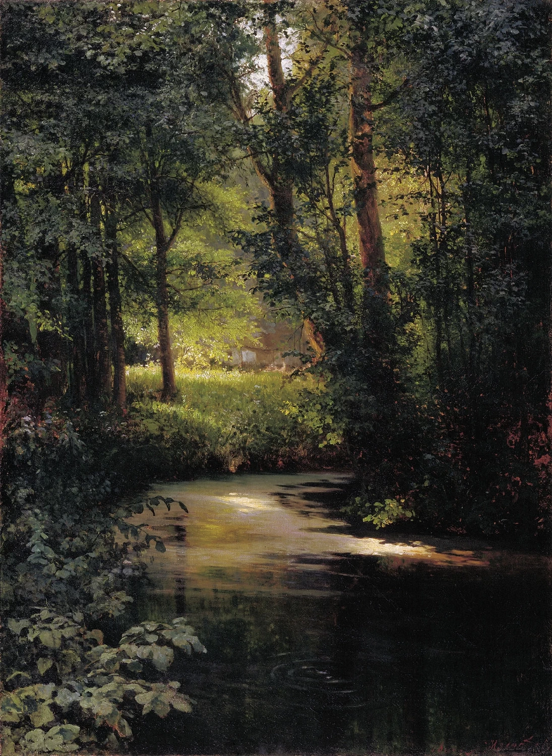 Insenatura nella foresta